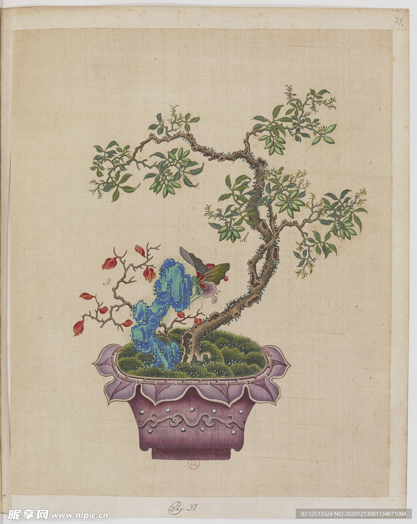 盆景花鸟