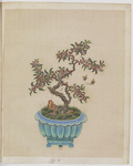 盆景花鸟