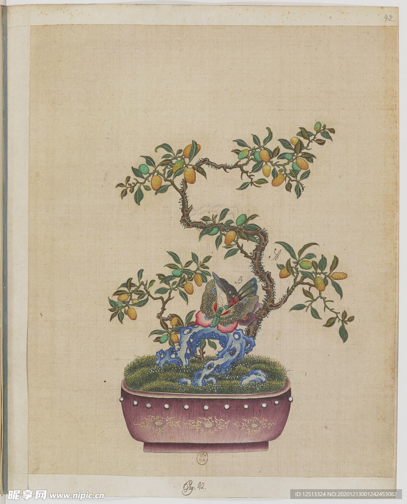 盆景花鸟