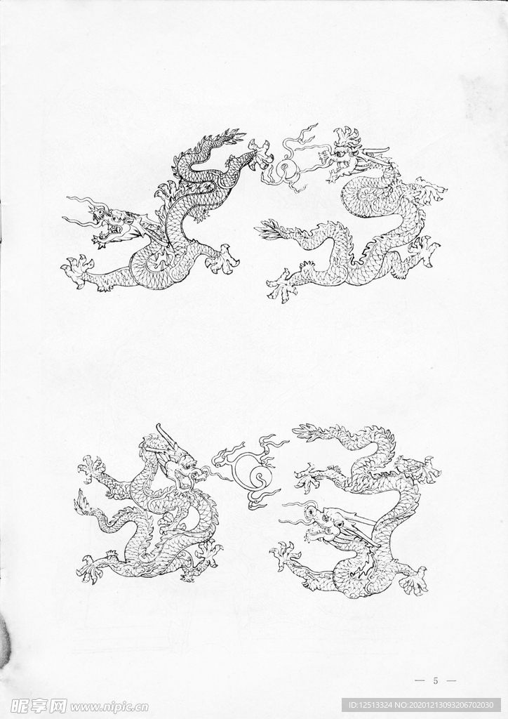 龙