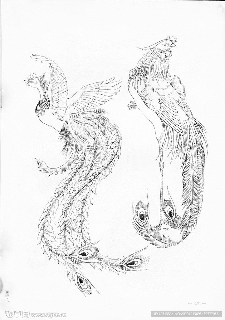 凤