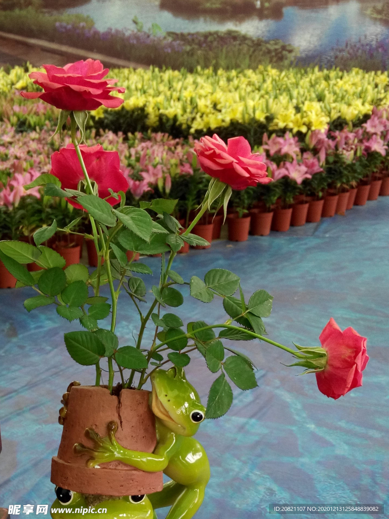 花卉
