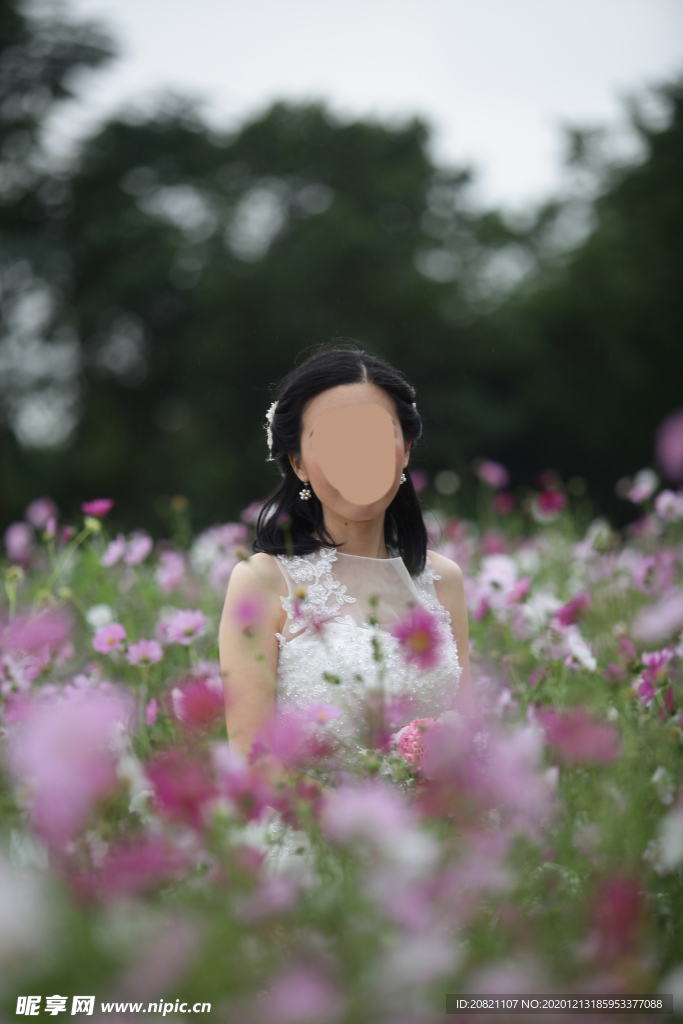艺术照