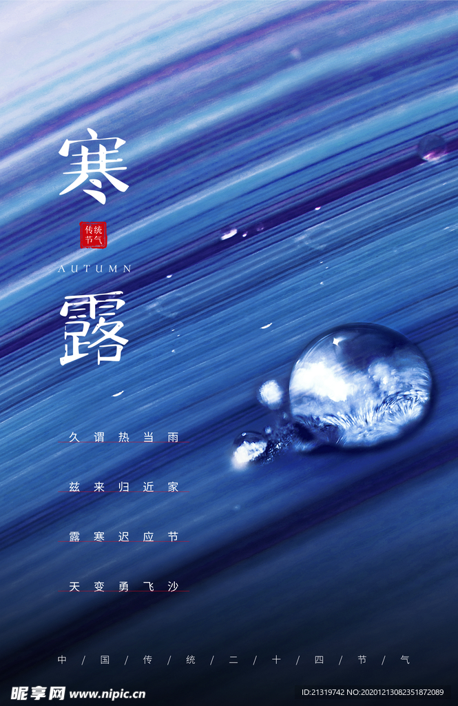 深蓝简约设计二十四节气寒露海报