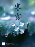 24节气之寒露宣传海报