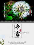 24节气之寒露宣传海报