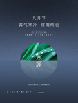 简约24节气之寒露宣传海报