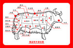 牛部位图