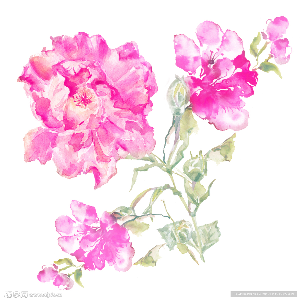 水彩花
