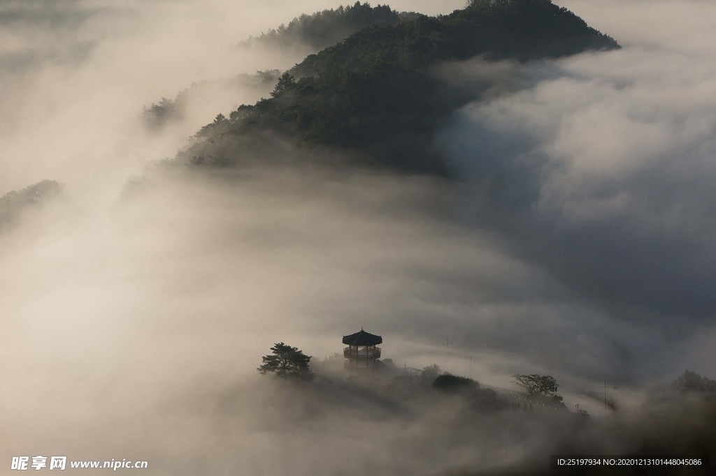 风景