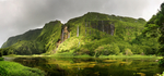 风景