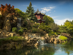风景