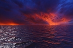 夕阳  大海