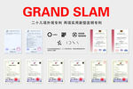 GRAND SLAM 荣誉