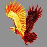 金鹰