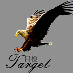 鹰