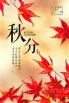 秋分海报