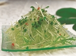 徽菜