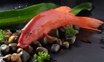 海鲜生鲜