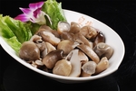 火锅菌类配菜
