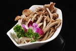 火锅菌类配菜