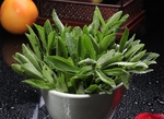 火锅素菜配菜
