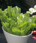 火锅素菜配菜