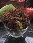 火锅素菜配菜