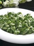 火锅素菜配菜
