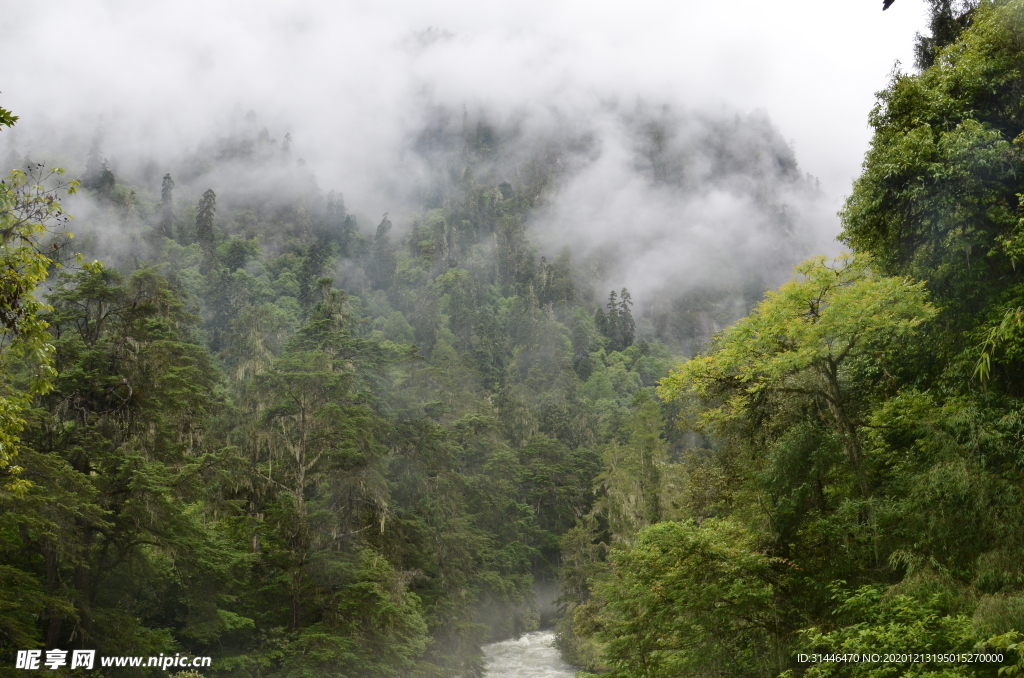 青山绿水风景