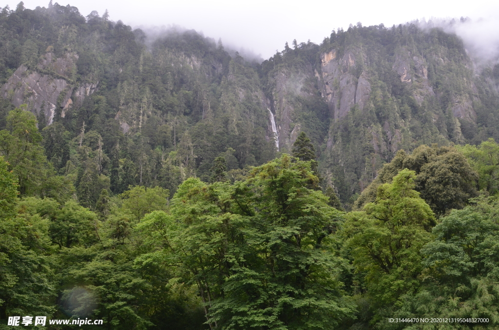 青山绿水风景