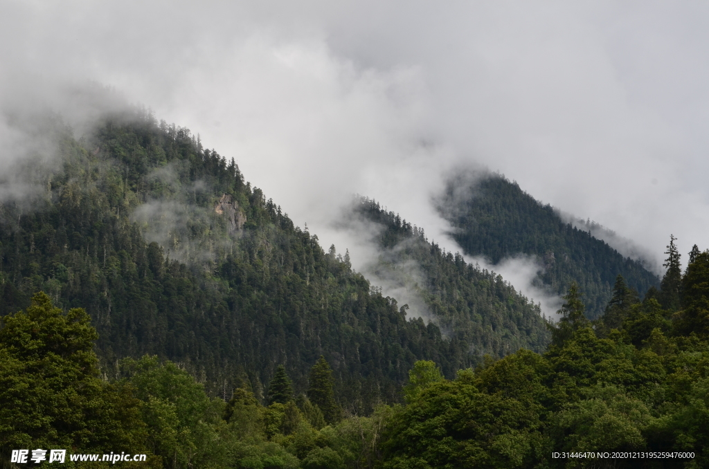 青山绿水风景