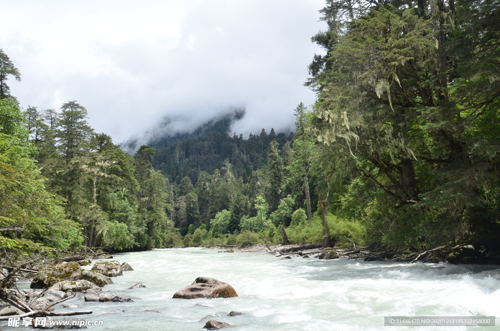 青山绿水风景