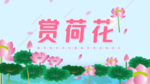 赏荷花