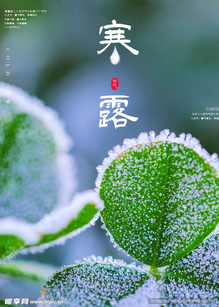 清新寒露宣传海报