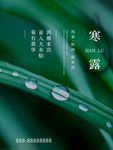 墨绿色寒露海报设计