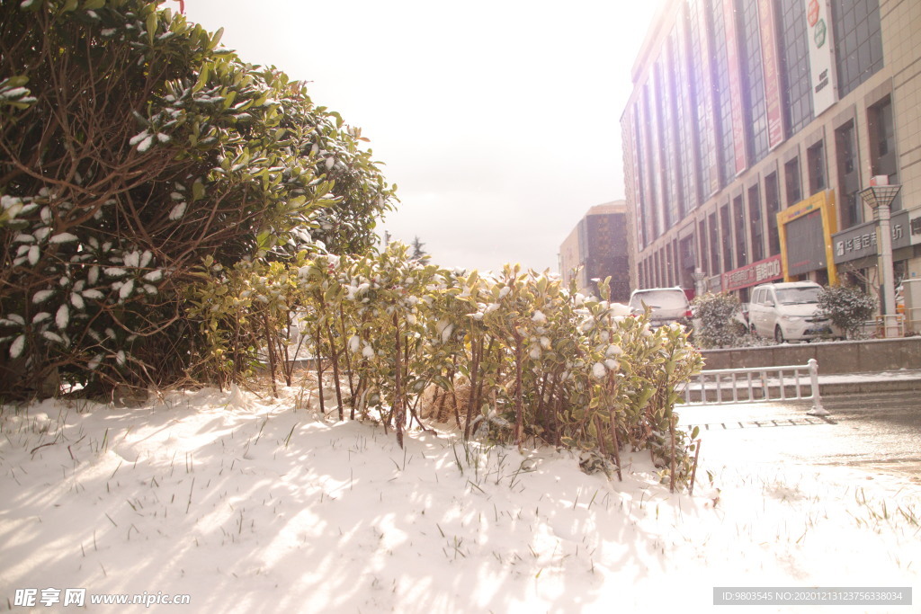 阳光下的雪景