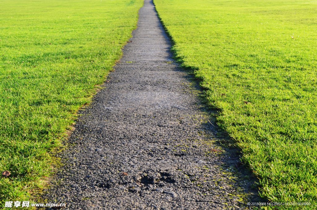 草坪道路