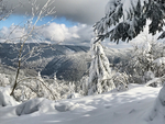 雪景