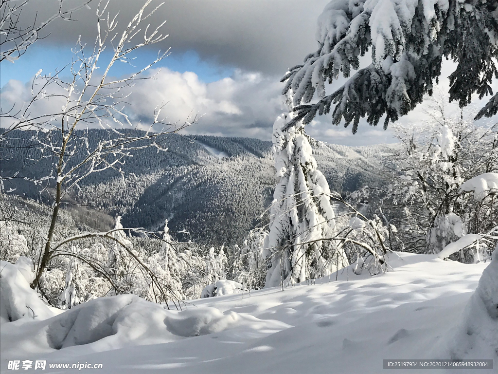 雪景