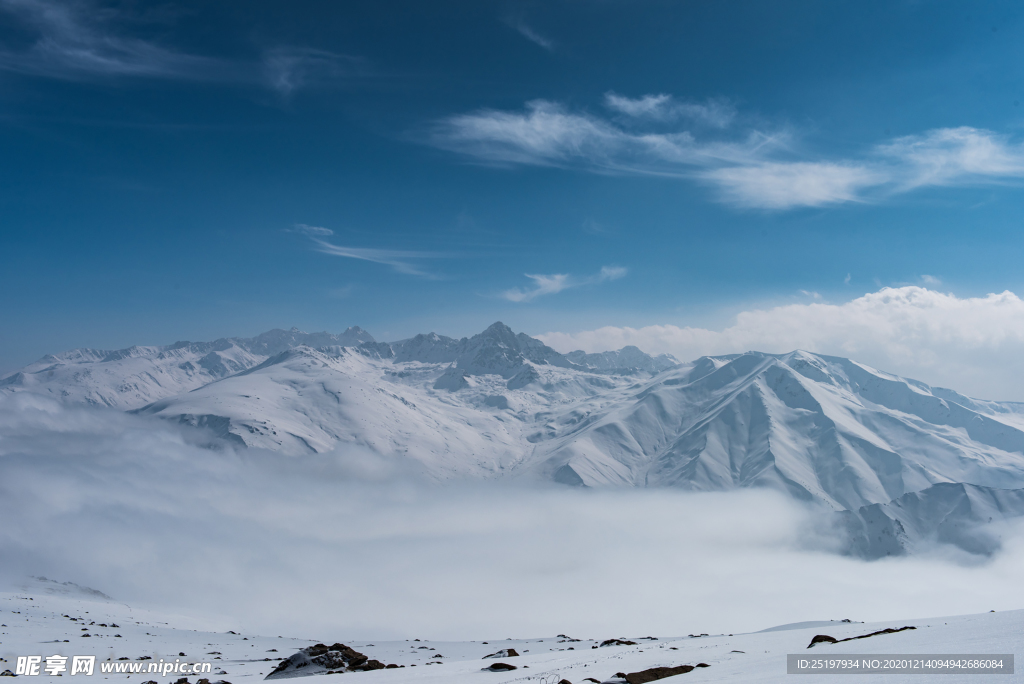 雪景