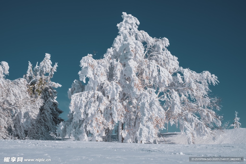 雪景