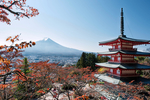 风景