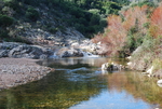 风景