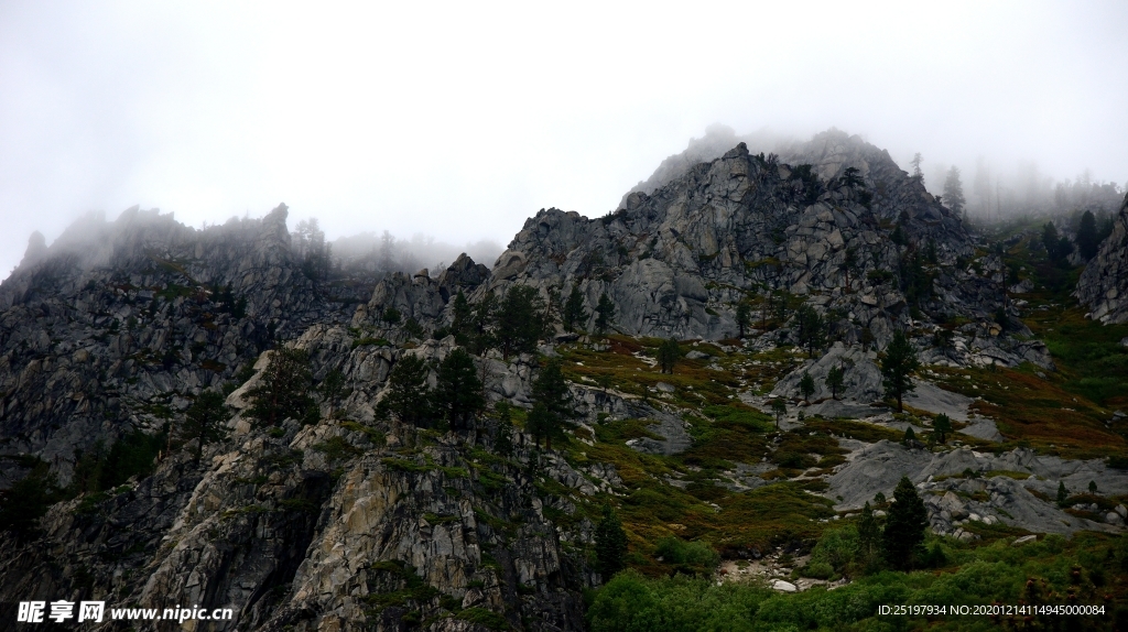 风景