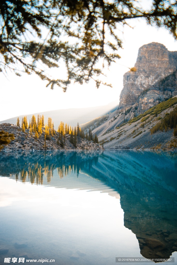 风景