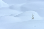 雪景