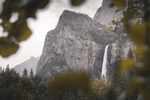 风景