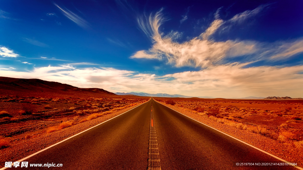 风景 公路