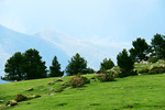 风景
